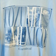 GILDAN　Tシャツ　COZUMEL MEXICO マチュピチュ　世界遺産　ブルー　/Y1661_画像4