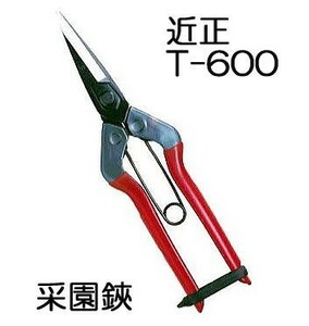 近正 菜園鋏 尖直刃 袋入 T-600 (62-2243-02)