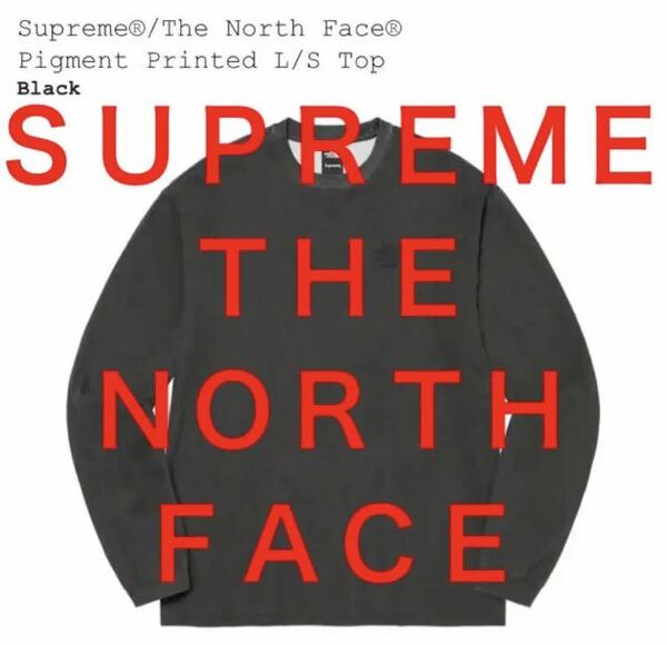 22fw Supreme The North Face Pigment Printed L/S Top Black L 黒 シュプリーム ロンT TEE ロングTシャツ 長袖Tシャツ