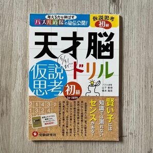 考える力を伸ばすパズル道場の秘伝公開! 天才脳ドリル 仮説思考 初級 賢い子に