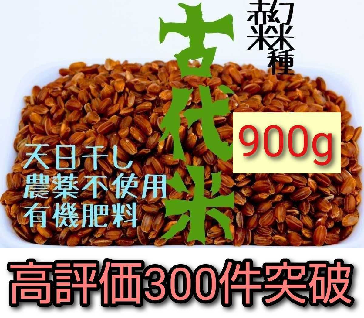 新米 15キロ コシヒカリ 玄米 一等米