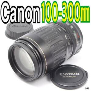 キヤノン Canon EF 100-300mm F4.5-5.6 USM（No.565）