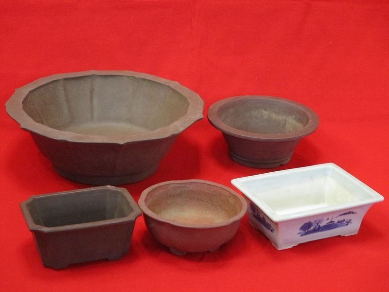 ヤフオク! -「寶山」(鉢) (盆栽用具)の落札相場・落札価格