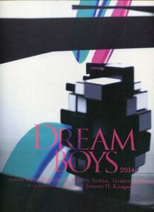 DREAM BOYS 2014 パンフレット★Kis-My-Ft2 玉森裕太 宮田俊哉 千賀健永 キスマイ 平野紫耀 永瀬廉 高橋海人 鳳蘭 紫吹淳★パンフ aoaoya