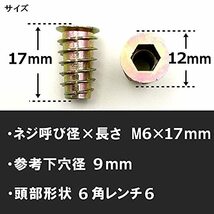 (TUISKU) 埋め込み ナット 【M6 X 17ｍｍ】 つば付き ロング 20個 セット テーブル 脚 固定 金具 DIY (M6 X_画像3