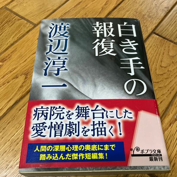 白き手の報復 （ポプラ文庫　わ１－８） 渡辺淳一／〔著〕