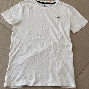 HOLLISTER Tシャツ