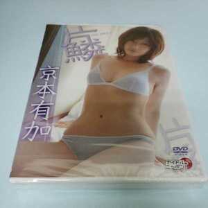 M144　新品未開封品　　イメージ 京本有加 片鱗　　DVD