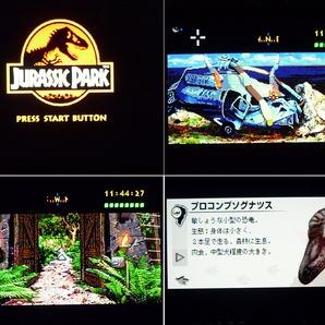 (21) ジュラシックパーク 帯・葉書き付き / Jurassic Parkの画像10