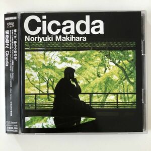 B14404　CD（中古）Cicada (初回限定盤 8cmCD付)　槇原敬之