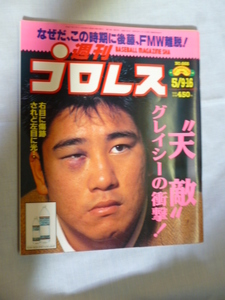 週刊プロレス　1995年　5/9・16　No.668　後藤、FMW離脱!、ヒクソングレーシーVS山本、スティング、EWC、井上京子、豊田、長谷川、府川由美