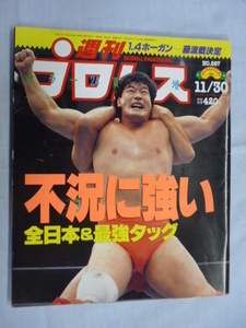 週刊プロレス　1993年　11/30　No.587　ホーガン、藤波、北斗晶、風間ルミ、神取、三沢、小橋、ジャイアント馬場、天龍、阿修羅