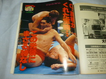 週刊プロレス　1993年　12/14　No.589　全女、女子プロ、パンクラス、船木、ジャイアント馬場、三沢、オブライト、ハンセン、川田、田上_画像8