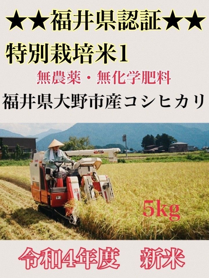 栽培期間中農薬不使用 無農薬 自然栽培 食用可能 米ぬか 米糠 ぬか 糠 糠床 通販