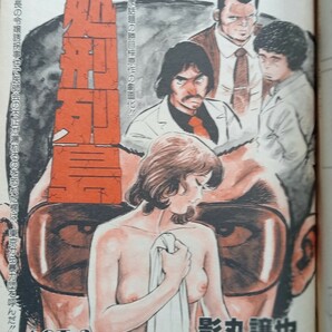 漫画サンデー 漫サン 小島功 ケン月影 土山しげる 畑中純 辰巳ヨシヒロ70年代 劇画 漫画雑誌 昭和レトロ マンガ シバ オールソン グラビア の画像4