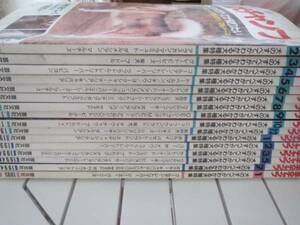 古本　創刊号～’９５　月刊　愛犬チャンプ１２冊セット。