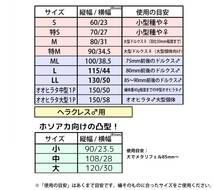 【簡単！】人工蛹室凸型 特S 1個 人工蛹室 ニジイロ ノコギリ 小型種 蛹 羽化 観察_画像2