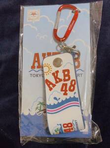 AKB48 東京ドームコンサート タオルホルダー 未開封