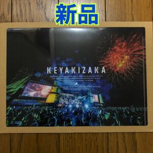 【未使用品】欅共和国2019 楽天ブックス限定 ミニファイル