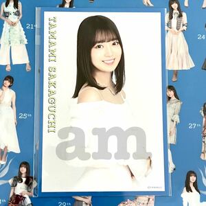 《乃木坂46》公式グッズ 1枚 阪口珠美　ポストカード ここにはないもの 齋藤飛鳥卒業コンサート　2023 人は夢を二度見る (生写真×