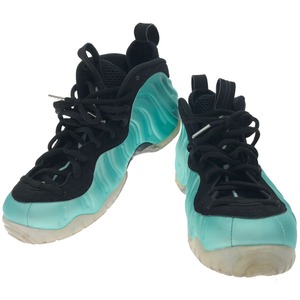 ▼▼ NIKE ナイキ メンズスニーカー AIR FOAMPOSITE PRO フォームポジットプロ 624041-303 アイスランドグリーン やや傷や汚れあり