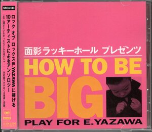 【中古CD】HOW TO BE BIG/矢沢永吉トリビュート/面影ラッキーホール 田口トモロヲ サエキけんぞう THRILL 大槻ケンヂ メトロファルス OTO他