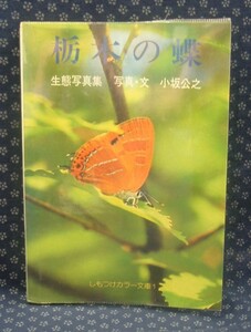 【 栃木の蝶 生態写真集 】小坂公之 月刊さつき研究社 栃の葉書房 しもつけカラー文庫1 