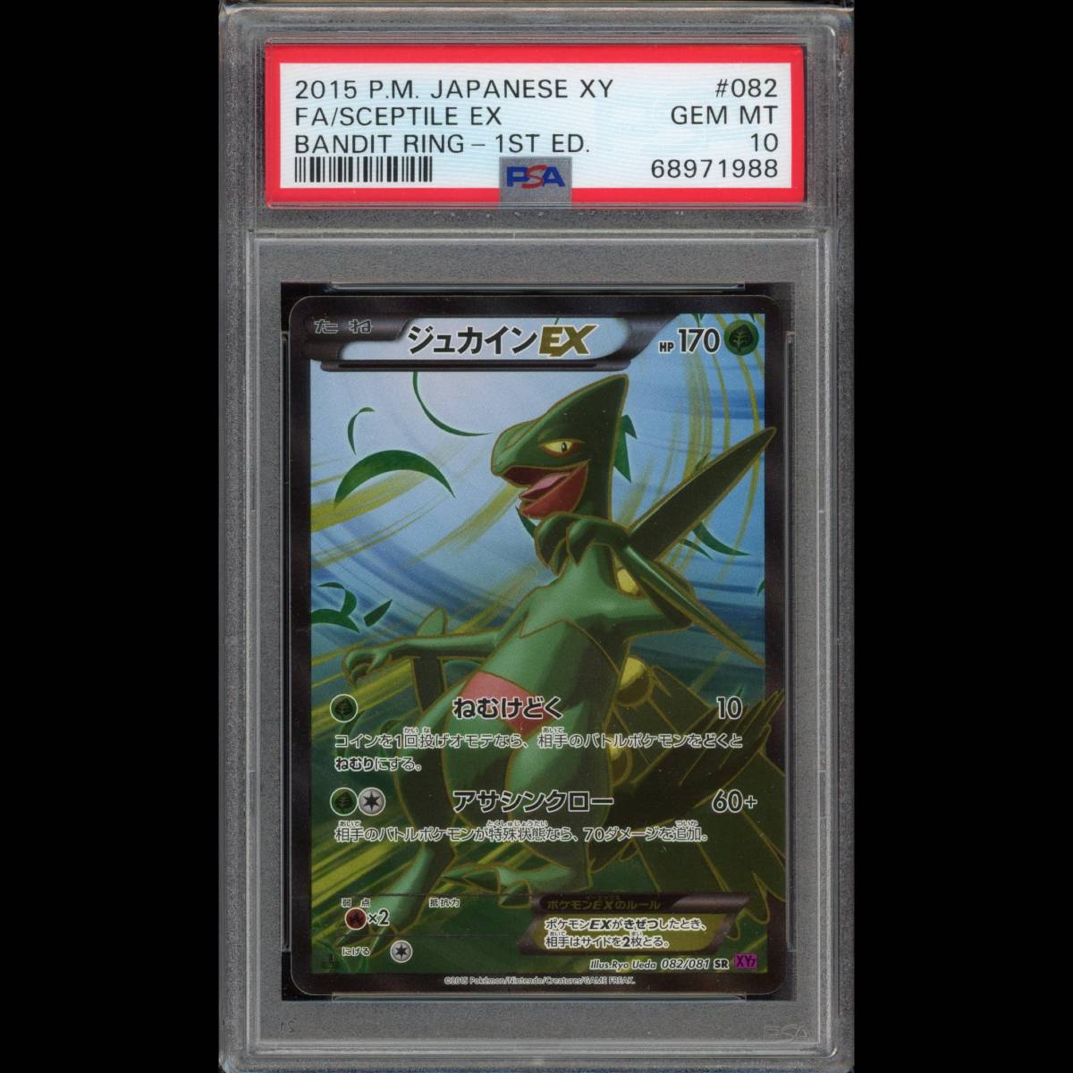 ヤフオク! -「ポケモンカード ex ジュカイン」の落札相場・落札価格