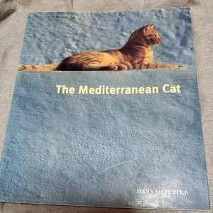 Hans Silvester The Mediterranean Cat English Edition