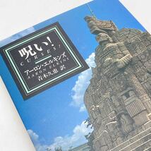 【送料180円 / 即決 即購入可】 呪い! ミステリアス・プレス文庫 アーロン・エルキンズ アーロン・エルキンズ 30516-18 れいんぼー書籍_画像1