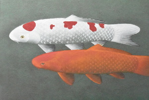Art hand Auction 晴徳の鯉と言われて人気の画家です, 色彩もきれいで癒されます! 五十嵐晴徳 10P ｢游鯉｣ 日本画【正光画廊】*, 絵画, 日本画, 花鳥, 鳥獣