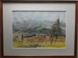 Art hand Auction 좋은 발견: 수채화 그림! 지조가오카 언덕의 우스이 토시카네 수채화, 아카기산 마사미츠 갤러리, 그림, 수채화, 자연, 풍경화