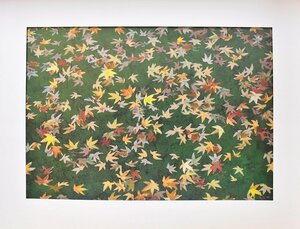 Art hand Auction Una reproducción del cuadro Kyoto Style Falling Autumn Leaves de Kaii Higashiyama, un pintor japonés que recibió la Orden de la Cultura, con marco [Galería Seiko - 5, 000 piezas en exhibición! Seguro que encontrarás un trabajo que te guste], otros, alquiler, Cuadro, Artesanía