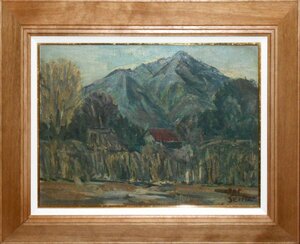 Art hand Auction Künstler unbekannt Nr. 4 Landschaft Ölgemälde [Masami Gallery, 5, 500 Stücke ausgestellt, hier findest du bestimmt dein Lieblingsstück], Malerei, Ölgemälde, Natur, Landschaftsmalerei