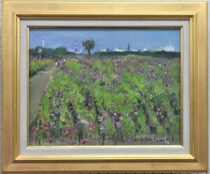 Art hand Auction Great find! Kiyofumi Koike, 6F Cosmos Field Oil Painting, Masamitsu Gallery, Painting, Oil painting, Nature, Landscape painting