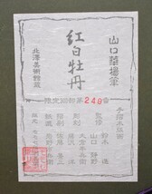 掘り出しオススメ作品!　文化勲章受章作家　　　山口華楊　木版画　「紅白牡丹」　　　限定300部　 　　　正光画廊_画像6