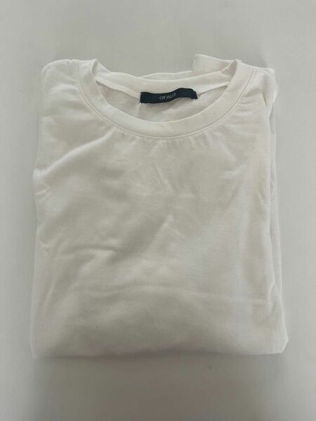 Tシャツ　白Tシャツ
