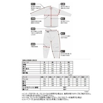 36インチ MXパンツ THOR 22/23 HALLMAN ブラック　モトクロス 正規輸入品 WESTWOODMX_画像2