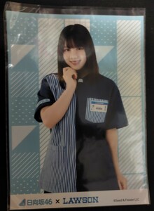 日向坂46 渡邉美穂　ローソン限定　プロマイド ひらがなけやき