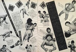 鳴瀬喜博 ナルチョのプロレス講座 1982 切り抜き 4ページ E20NAB