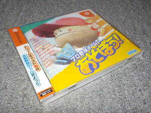 【ドリームキャスト】　プロ野球チームで遊ぼう!　★新品★