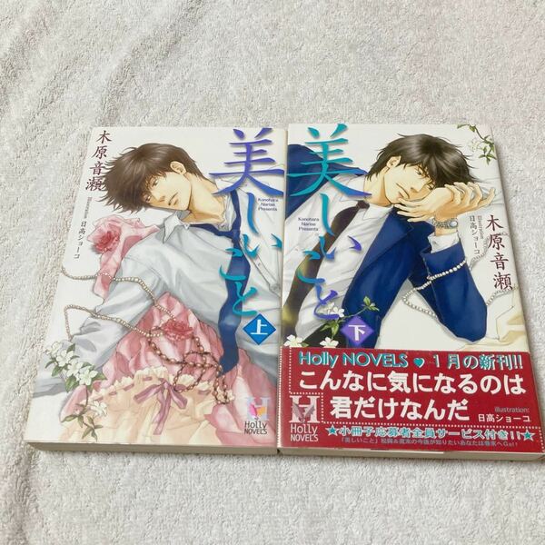 美しいこと 上巻＋下巻 ２冊セット 木原音瀬 日高ショーコ