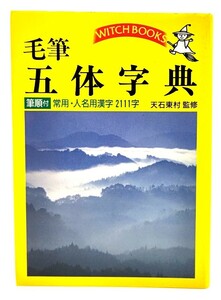 毛筆 五体字典 : 常用・人名用漢字2111字/天石東村 (監修)/池田書店