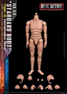 Soldier Story SSA-001 1/6スケール STANDARD BODY 男性素体 6.0Ver. 標準型 首パーツ交換式 新品未開封（検 tbleague DID Damtoys デサン