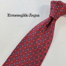 253/ 美品 Ermenegildo Zegna エルメネジルドゼニア 中古 USED ネクタイ 小紋柄 _画像1