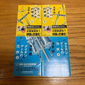 海堂尊 チームバチスタセット（チーム・バチスタの栄光、ナイチンゲールの沈黙）