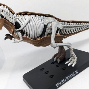 ティラノサウルス 塗装済完成品