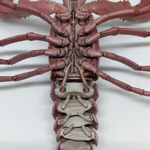 アメリカザリガニ 塗装済完成品