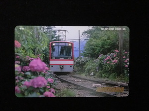 ≪テレホンカード≫箱根登山鉄道「あじさい電車」50度数☆f14