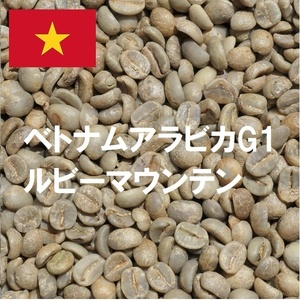 コーヒー生豆　ベトナムアラビカルビーマウンテン　10kｇ　送料無料　グリーンビーンズ